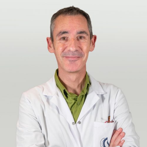 Dr. Luis Miguel Marco Pérez