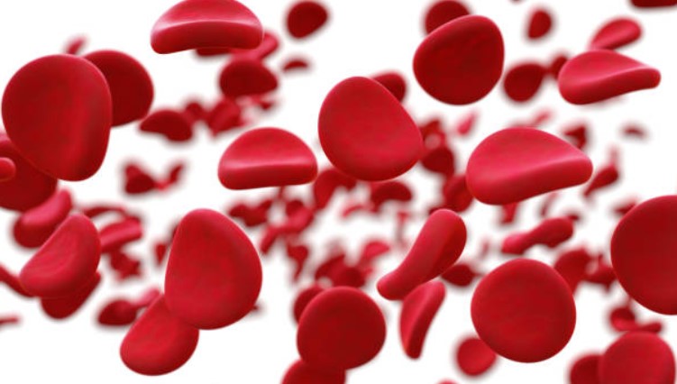 Factores crecimiento en el síndrome de dolor vesical Factores crecimiento en el síndrome de dolor vesical (SDV)